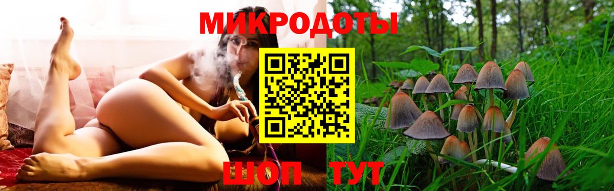 Галлюциногенные грибы Cubensis Среднеуральск